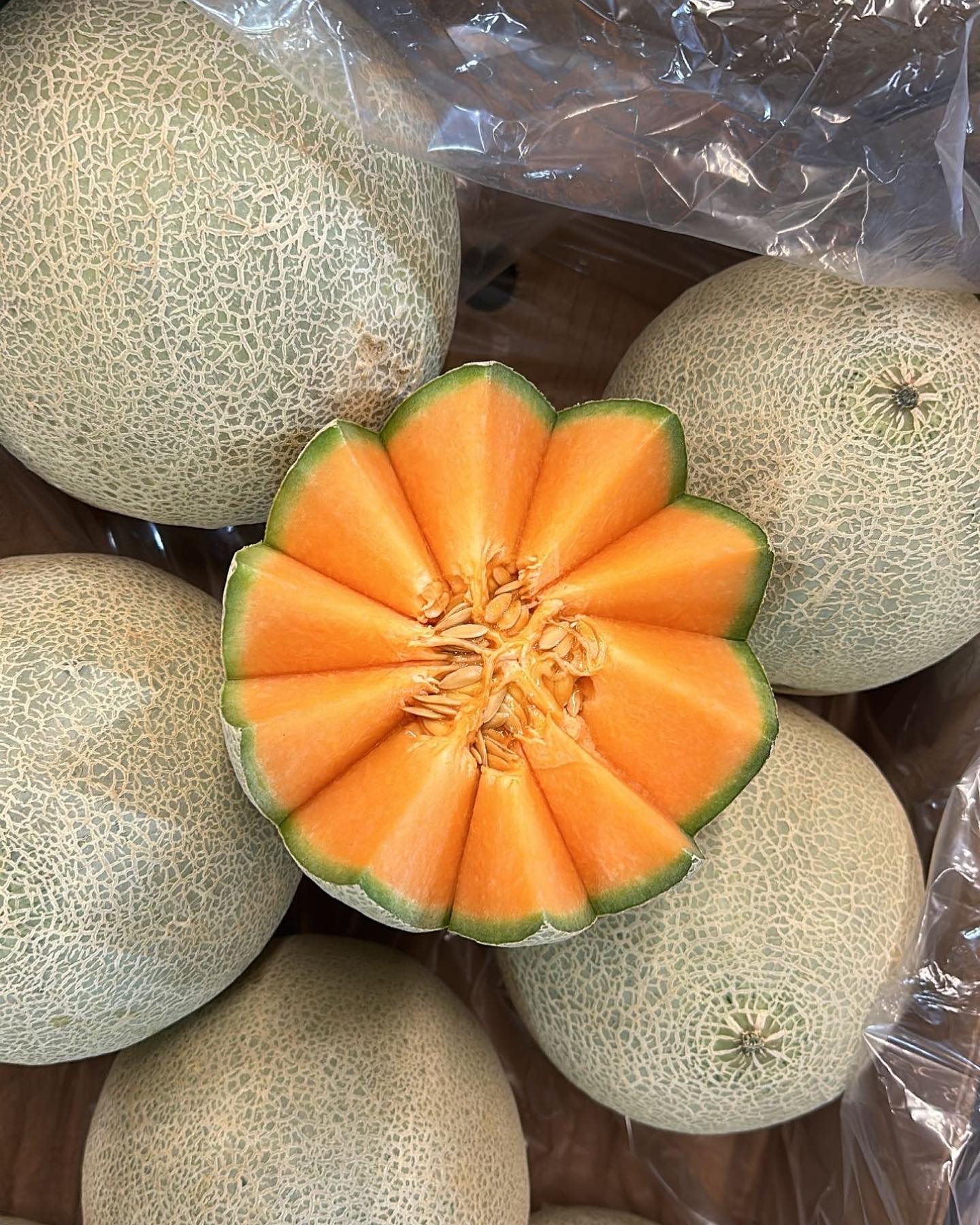 Cantaloupe